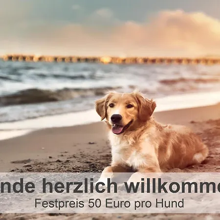 דירה Gulfhof-ferien Briese *